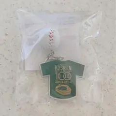 甲子園　高校野球　100周年　キーホルダー