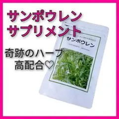 【年末年始を乗り切る!】サンポウレン サプリメント 高級 穿心蓮 飲み会