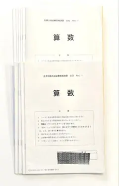 SAPIX サピックス 冬期/正月特訓 GO 全10セット 実戦演習