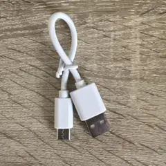 USB-A to TYPEcケーブル 15cm ホワイト