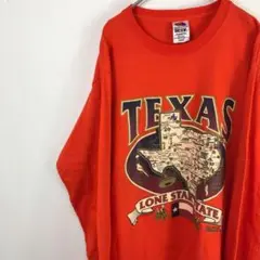 USA古着 フルーツオブザルーム ロンT