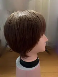 Item thumbnail for item 4c6781d3-e9f1-4d51-aa87-a3323814a36d