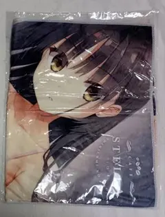 Item thumbnail for item 9eff6df5-f7ac-4480-9bc6-8075f19f2309