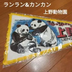 【希少】上野動物園 ランラン カンカン 昭和レトロ パンダ ペナント