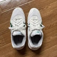 Mizuno Gymstar ホワイト/グリーン 体育館シューズ　26