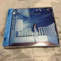 SEA BREEZE 2016 角松敏生
