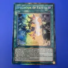 遊戯王 ゲーテの魔導書 英語版 1st EU コレクターズレア MAZE