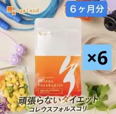 Item thumbnail for item 48f67954-617f-41b8-9a38-07249a55f6a0