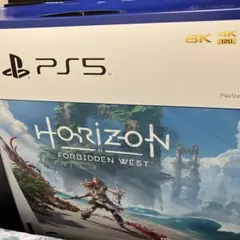 PS5 ホライゾン 同梱版 空箱