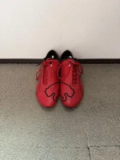 Puma Futurecat プーマ　フューチャーキャット