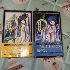 顔のない月 上下巻セット
