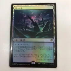 湿った墓