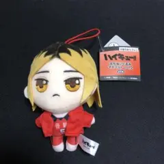 ハイキュー　ぷちぬいぐるみマスコットvol.2 孤爪研磨　タグ付き