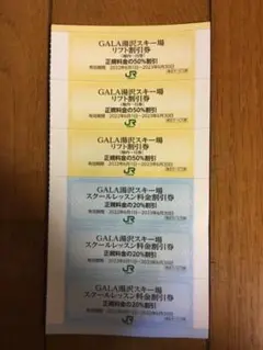 JR東日本株主優待 ガーラ湯沢スキー場リフト割引券 3枚