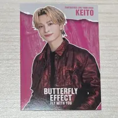 【最安値】fantastics 木村慧人 フォトカ シークレット シクレ