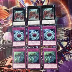 遊戯王　バージェストママーレラ　ディノミスクス　バージェストマオパビニア
