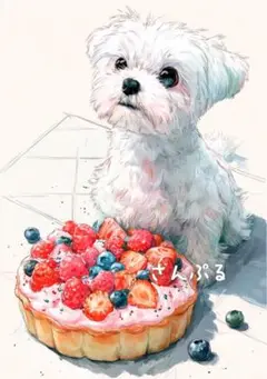 1117 オリジナル アニマルステッカー 動物 マルチーズとパイ 4枚