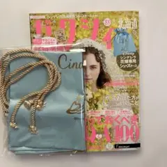ゼクシィ　付録　シンデレラ　シューズケース　巾着