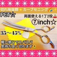 Item thumbnail for item 2e11dd32-ec3c-4126-87b6-1df49be3ae67