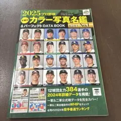 プロ野球選手名鑑2025