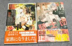 BL小説　2冊セット