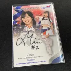 Item thumbnail for item 2ce5929a-34e8-49f8-b7b9-2344d656e649