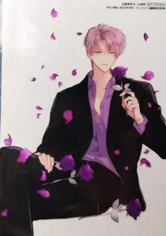 多聞くん今どっち 師走ゆき アニメイト ブロマイド 花とゆめ 紫の薔薇