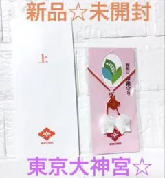 Item thumbnail for item 308e2600-8074-4873-b197-14170b78a8e3