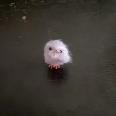 紫のひよこ