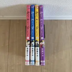 壱屋すみ　踏んだり蹴ったり愛したり　第1〜4巻
