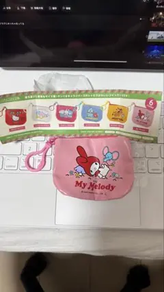 Sanrio My melody coin case マイメロディ