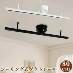 配線ダクトレール 0.8m 引掛シーリング対　レールライト 350度回転　白