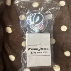 なにわ男子　ペンライト　2025
