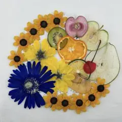 押しフルーツ♡No400