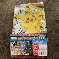 ポケットモンスター レジャーシート 1人用 約90cm x 約60cm