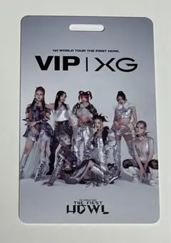 XG VIPパス