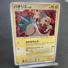 パチリスlv30 DP4 2025年最新】パチリスlv30の人気アイテム - メルカリ