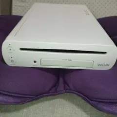 wiiu本体 8GB