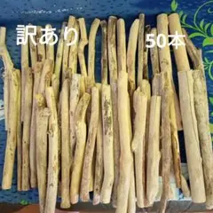 流木 50本 　訳あり　約25㌢前後から約30㌢前後