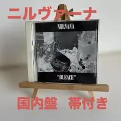 ニルヴァーナ/ブリーチ