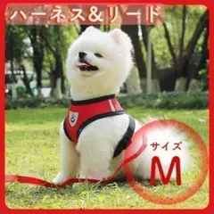 ハーネス リード 小型犬 Mサイズ ペット 猫 レッド メッシュ