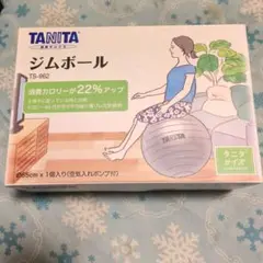 TANITA ジムボール TS-962 65cm シルバー　空気入れポンプ入り