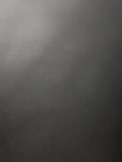 あら様確認用