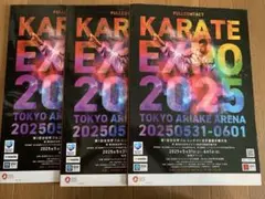 KARATE EXPO2025 パンフレット3冊まとめ売り