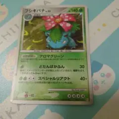 【希少】ポケモンカード　フシギバナ　レア　2009年