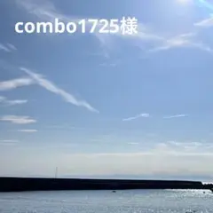 combo1725様　リクエスト1点　箱なし