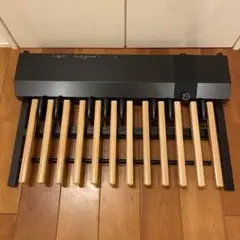 HAMMOND 足鍵盤 XPK-200GL ソフトケース付き Amazon.co.jp: HAMMOND ハモンド MIDIペダルボード XPK-200GL