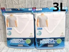 Item thumbnail for item 0d4c52e4-0960-41ee-adb9-9a6494aab05b