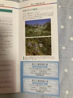 名鉄 株主優待 中央アルプス駒ヶ岳ロープウェイ 割引券 2枚(4名分)