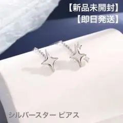 【新品未開封】【即日発送】ピアス/シルバースター